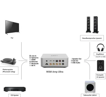 Preview: Wiim Amp Ultra hinten