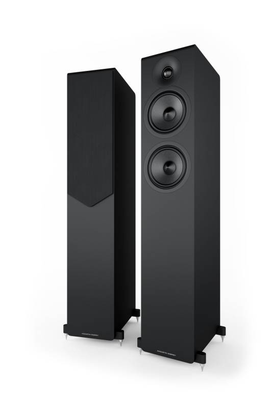 AE309 in schwarz matt
