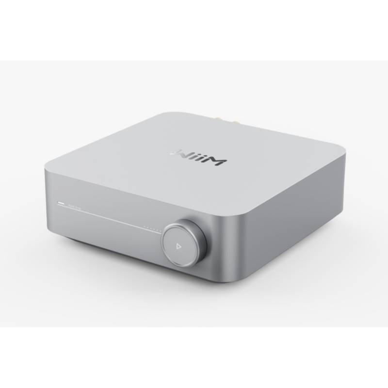 WiiM Amp in silber